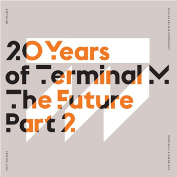 Various Artists - 20 Years of Terminal - Terminal M Records