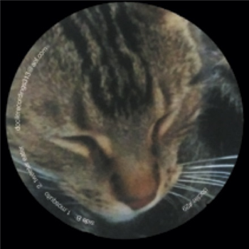 A.Garcia - The Pepper EP - Docile Recordings