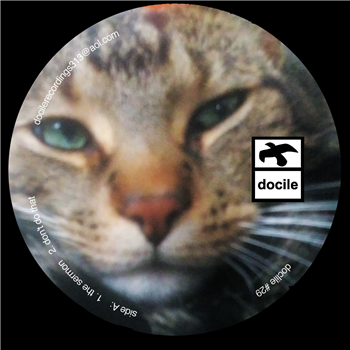 A.Garcia - The Pepper E.P - Docile Recordings