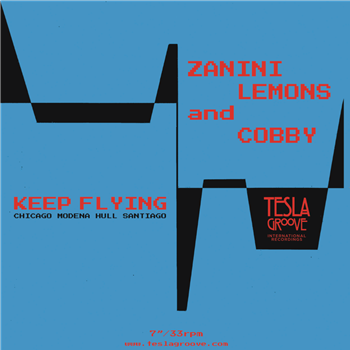 Zanini, Lemons & Cobby – Keep Flying - TESLA GROOVE