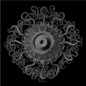 Acidfonk / Eme Kulhnek - Split EP - Symbiostic