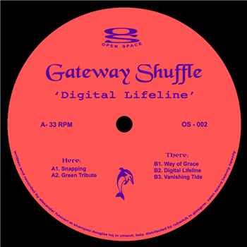 Gateway Shuffle - Digital Lifeline - Open Space