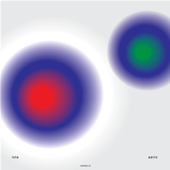 iota - Aeiro - Animalia