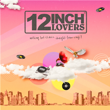 VARIOUS ARTISTS - 12 INCH LOVERS 2 - 541 LABEL