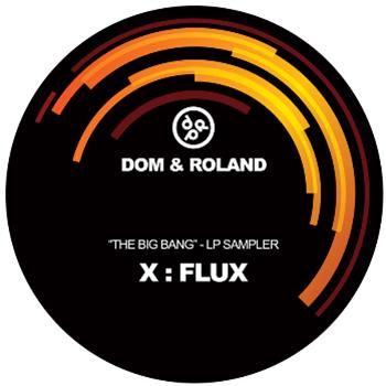 Dom & Roland - The Big Bang LP Sampler - Dom & Roland Productions