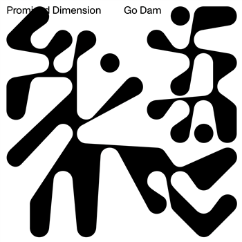 Go Dam - Promised Dimension - Braindance Records