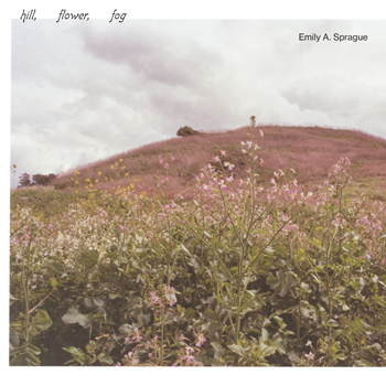 Emily A. Sprague - Hill, Flower, Fog - RVNG Intl