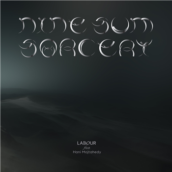 LABOUR feat. Hani Mojtahedy - nine-sum sorcery - STUDIO LABOUR