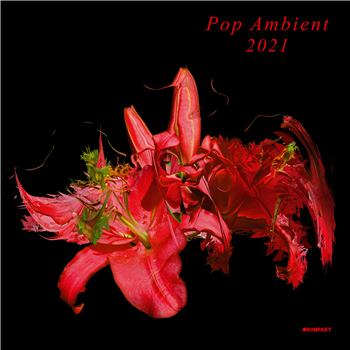 Various Artists - Pop Ambient 2021 - Kompakt