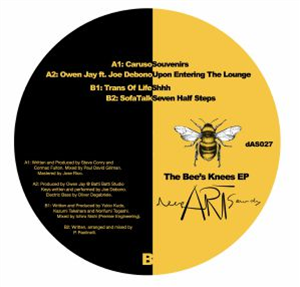 CARUSO/OWEN JAY/TRANS OF LIFE/SOFA TALK - The Bees Knees EP - DEEPARTSOUNDS