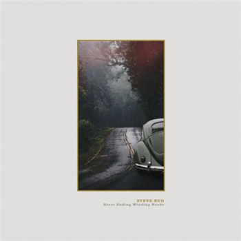 Steve Bug - Never Ending Winding Roads (2lp+dl) - Poker Flat Recordings Steve Bug - Never Ending Winding Roads (2lp+dl) - Poker Flat Recordings