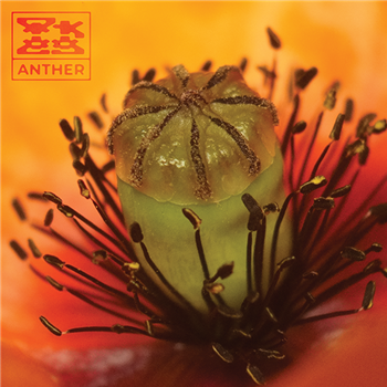 OK EG - Anther EP - Steeplejack Records OK EG - Anther EP - Steeplejack Records