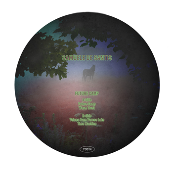 Samuele De Santis - Future Camp - YUNG DUMB Records Samuele De Santis - Future Camp - YUNG DUMB Records