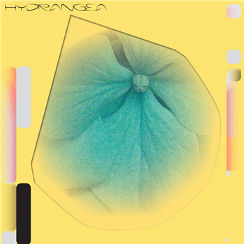 Holly Childs & Gediminas Žygus - HYDRANGEA - Subtext Recordings Holly Childs & Gediminas Žygus - HYDRANGEA - Subtext Recordings