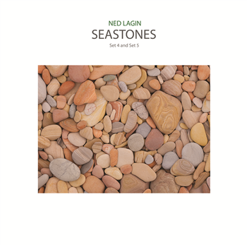 Ned Lagin - Seastones - Important Records