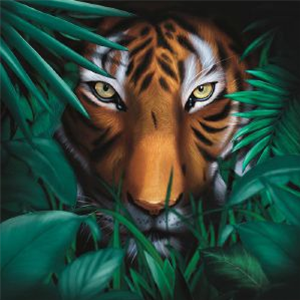 A VISION OF PANORAMA - Unique Tiger - Mellophonia A VISION OF PANORAMA - Unique Tiger - Mellophonia