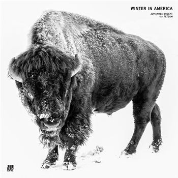 Johannes Brecht feat. Fetsum - Winter In America - Diynamic Music