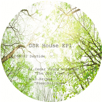 Various Artists - DSR House Ep 1 - DAILYSESSION RECORDS