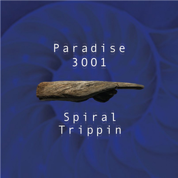 Paradise 3001 - Spiral Trippin - Nocturbulous
