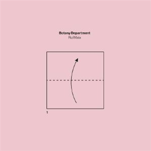 Rui MAIA - Botany Department - Groovement Organic Series