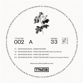 Behrang & Sean - Repetition Is The Mother Of All Repetition - The Transient Nature of the Disco Business Behrang & Sean - Repetition Is The Mother Of All Repetition - The Transient Nature of the Disco Business