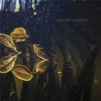 Placid Angles - Touch The Earth (3x12") - Figure