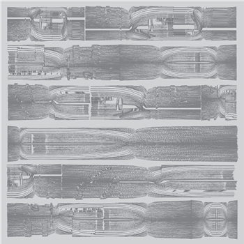 Carcass Identity - Carcass Identity - Phase Group Carcass Identity - Carcass Identity - Phase Group