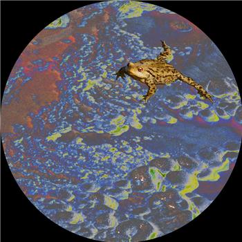 Various Artists - CHIC002 - Frog Dog Various Artists - CHIC002 - Frog Dog