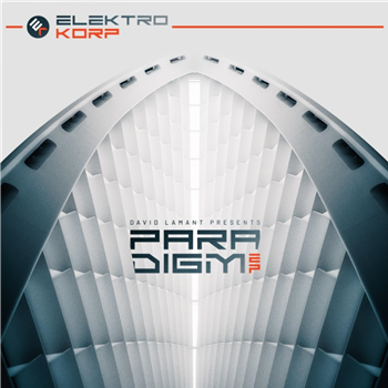 David Lamant - Paradigm EP (incl. Ralph Mirto & Kaiser RMXS) - elektrokorp David Lamant - Paradigm EP (incl. Ralph Mirto & Kaiser RMXS) - elektrokorp