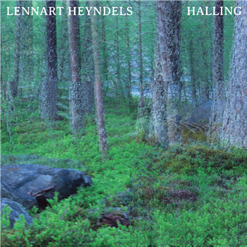 LENNART HEYNDELS - HALLING - BWAA
