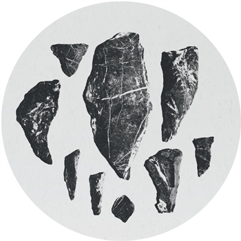 Lewis Fautzi - Controlled Processes EP - Mord