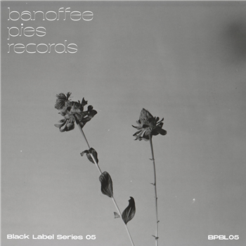 Various Artists - Black Label Series 05 - Banoffee Pies Records