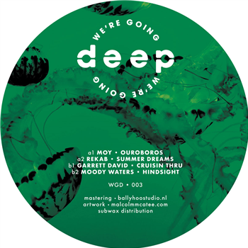 Various (Moy, Garrett David...) - Volume 3 - Were Going Deep