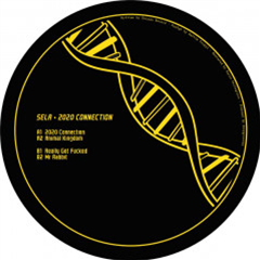 SELA - 2020 CONNECTION - Parallel Connection SELA - 2020 CONNECTION - Parallel Connection
