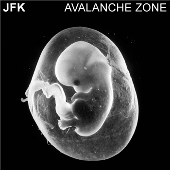 JFK - AVALANCHE ZONE - L.I.E.S.