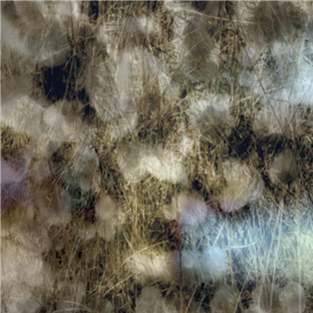 O Yuki Conjugate - Sleepwalker - Utter O Yuki Conjugate - Sleepwalker - Utter
