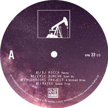 DJ Rocca / Eric Duncan / Mushrooms Project / Rayko - Rare Wiri 100th - RARE WIRI