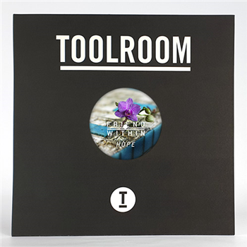 Friend Within - Hope - Toolroom Records
