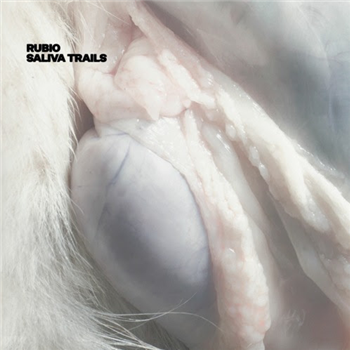Rubio - Saliva Trails - On The Ropes