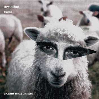 Makuto - Invisible (Inc. Truncate remix) - Arketip Discs Makuto - Invisible (Inc. Truncate remix) - Arketip Discs