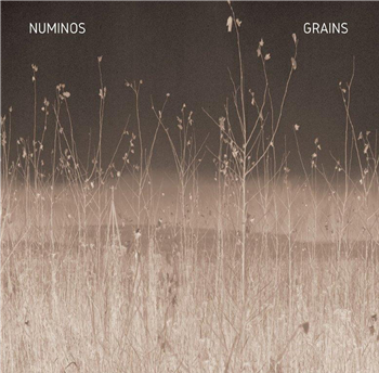 Numinos - Grains - Mille Plateaux
