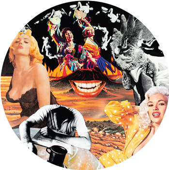 Nurse With Wound - Sylvie & Babs (Picture Disc) - Dirter Nurse With Wound - Sylvie & Babs (Picture Disc) - Dirter