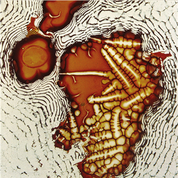 Axel Dörner & Richard Scott - A Journal of Elasticity - bohemian drips Axel Dörner & Richard Scott - A Journal of Elasticity - bohemian drips