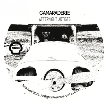 CAMARADERIE - Afternight Artists EP - Seta Label