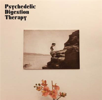 Psychedelic Digestion Therapy - Psychedelic Digestion Therapy - Strangelove