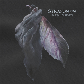 STRAPONTIN - SASNAL PARK EP - Abstrack Records