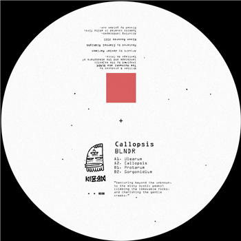 BLNDR - Callopsis [180 grams / incl. dl code] - KIZEN RECORDS