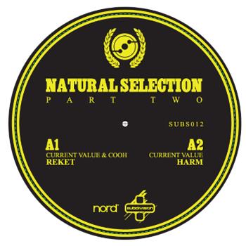 Current Value & Cooh - Subsistenz