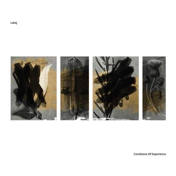 Lakej - Conditions Of Experience - Edit Select Records Lakej - Conditions Of Experience - Edit Select Records