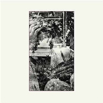 Max Winter - One Thousand Lonely Places (Hand stickered & stamped sleeve with compositional score insert) - Where To Now? Max Winter - One Thousand Lonely Places (Hand stickered & stamped sleeve with compositional score insert) - Where To Now?